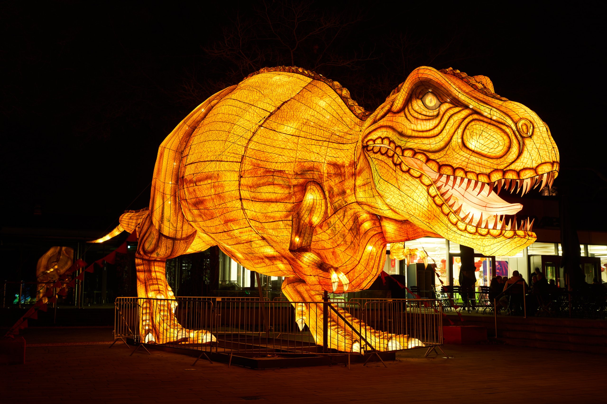 2024 01 03 Köln Zoo China Lights 1030